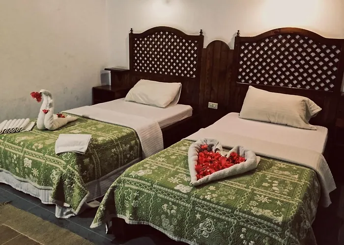 Hotel Christina Beach Palace
